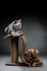 Similar image 10432843