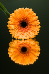 Similar image 10432864