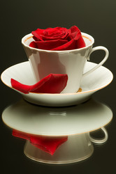 Similar image 10432867