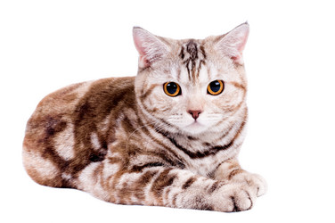 Similar image 10432932