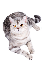 Similar image 10432994