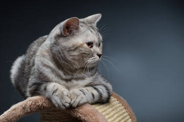 Similar image 10432998