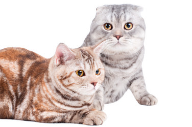 Similar image 10433000