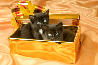 Similar image 10433001