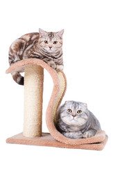 Similar image 10433007