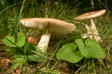 Similar image 10433025