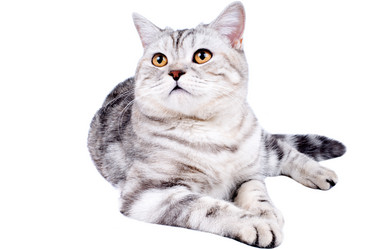 Similar image 10433060