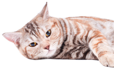 Similar image 10433062