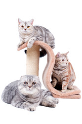 Similar image 10433064