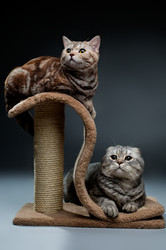 Similar image 10433068