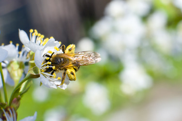 Similar image 10433128