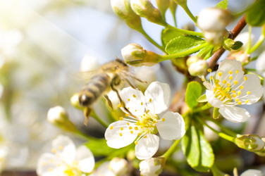 Similar image 10433129