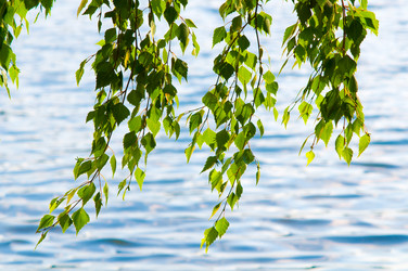 Similar image 10433137