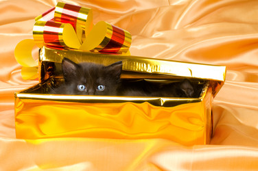 Similar image 10433146