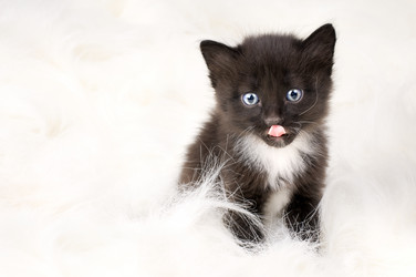 Similar image 10433147