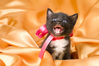 Similar image 10433156