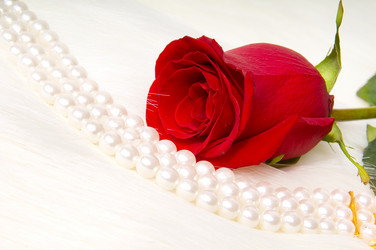 Similar image 10433163