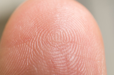 Similar image 10433165