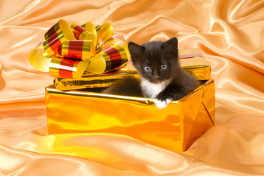 Similar image 10433182