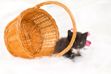 Similar image 10433184