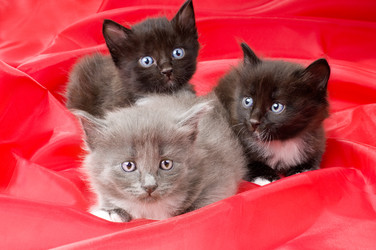 Similar image 10433186