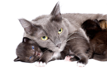 Similar image 10433189