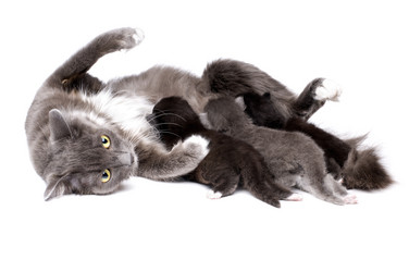 Similar image 10433191