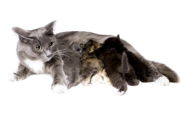 Similar image 10433192