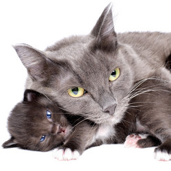 Similar image 10433193