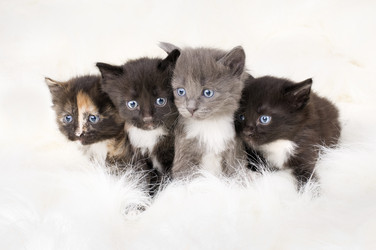 Similar image 10433199