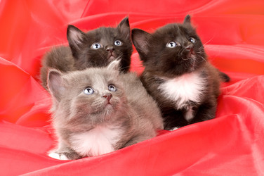 Similar image 10433205