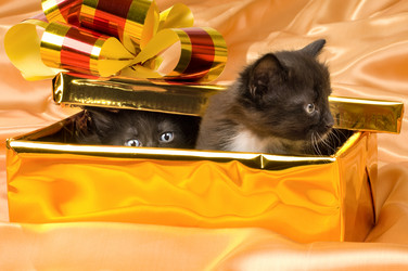 Similar image 10433208