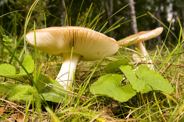 Similar image 10433346