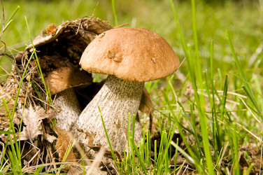 Similar image 10433350