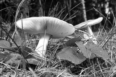 Similar image 10433352