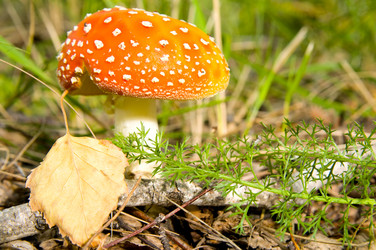 Similar image 10433363