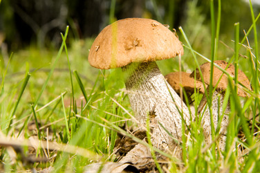 Similar image 10433371