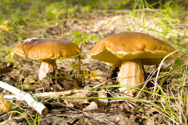 Similar image 10433375