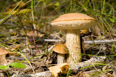 Similar image 10433376