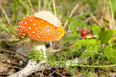 Similar image 10433380