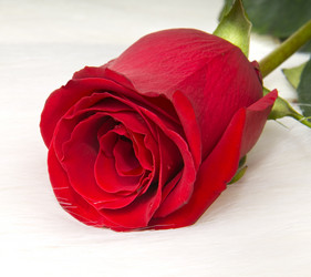 Similar image 10433388