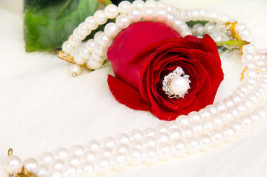 Similar image 10433389