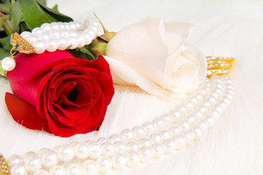 Similar image 10433390