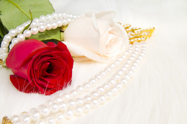 Similar image 10433391