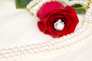 Similar image 10433394