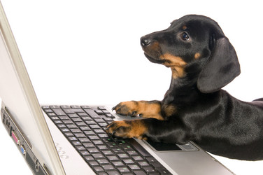 Similar image 10433424