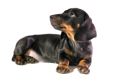 Similar image 10433439