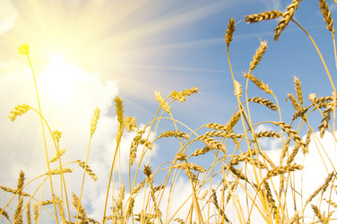 Similar image 10433446