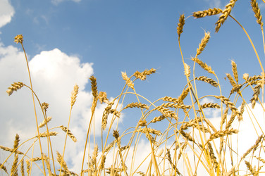 Similar image 10433448