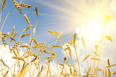 Similar image 10433451